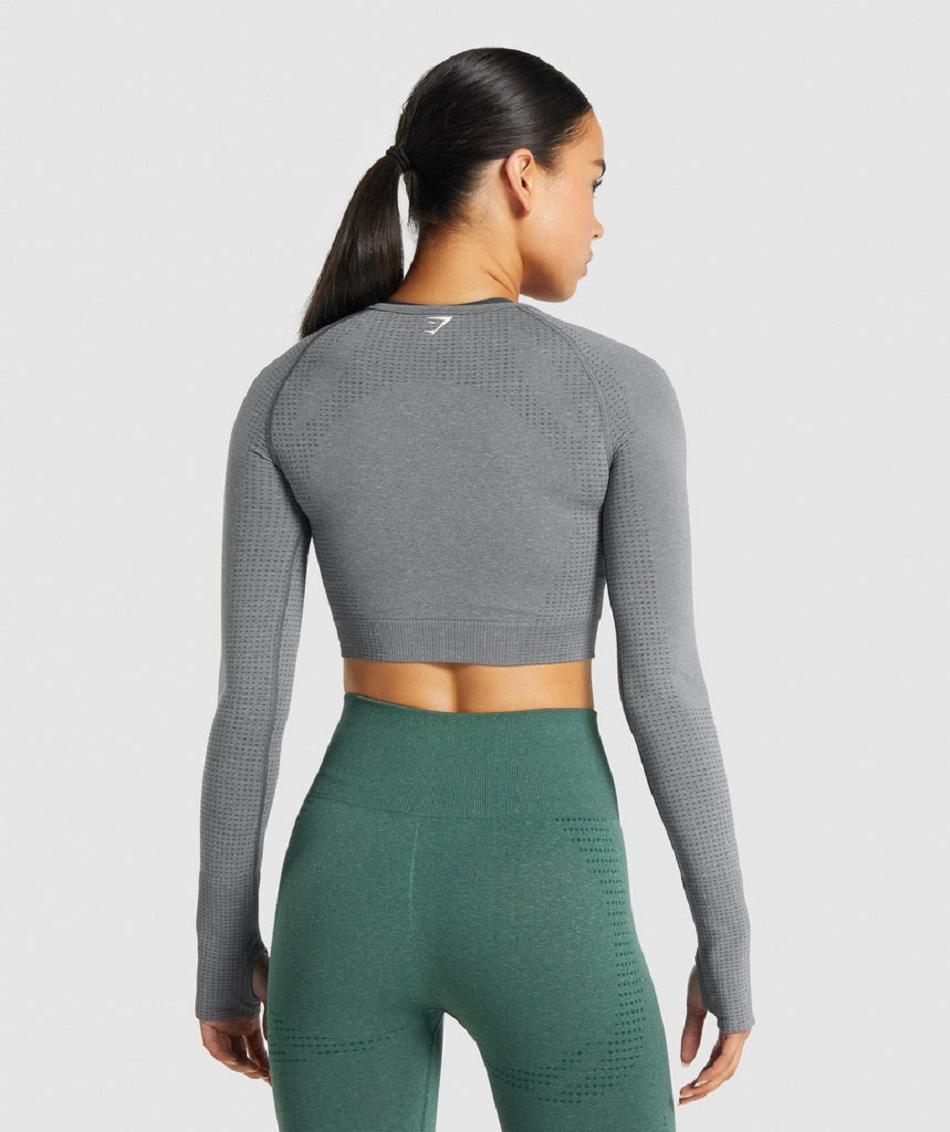 Przycięte Topy Damskie Gymshark Vital Seamless 2.0 Long Sleeve Szare | PL 2674KOR